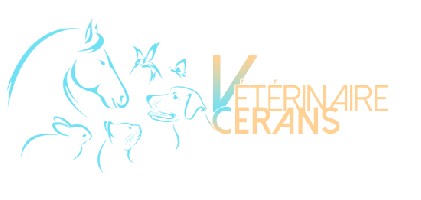 Cabinet Vétérinaire Catherine Ollier